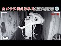 監視カメラは家の中の恐ろしい光景を捉えていた！ 自分の目で見なければ、それが現実のものだとは信じられないだろう！#神秘 #top10 #top #ランキング #世界 #世界一 #カメラ #生き物