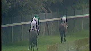 1981 Sussex Stakes Kings Lake + Replay