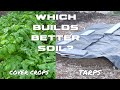 COVER CROPS vs TARPS - The BETTER Soil Builder Is...