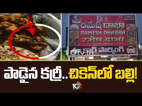 Food Scandal: పాడైన కర్రీ.. చికెన్‎లో బల్లి! | Lizard Found in Chicken Viral Video | 10TV News - 10TVNEWSTELUGU