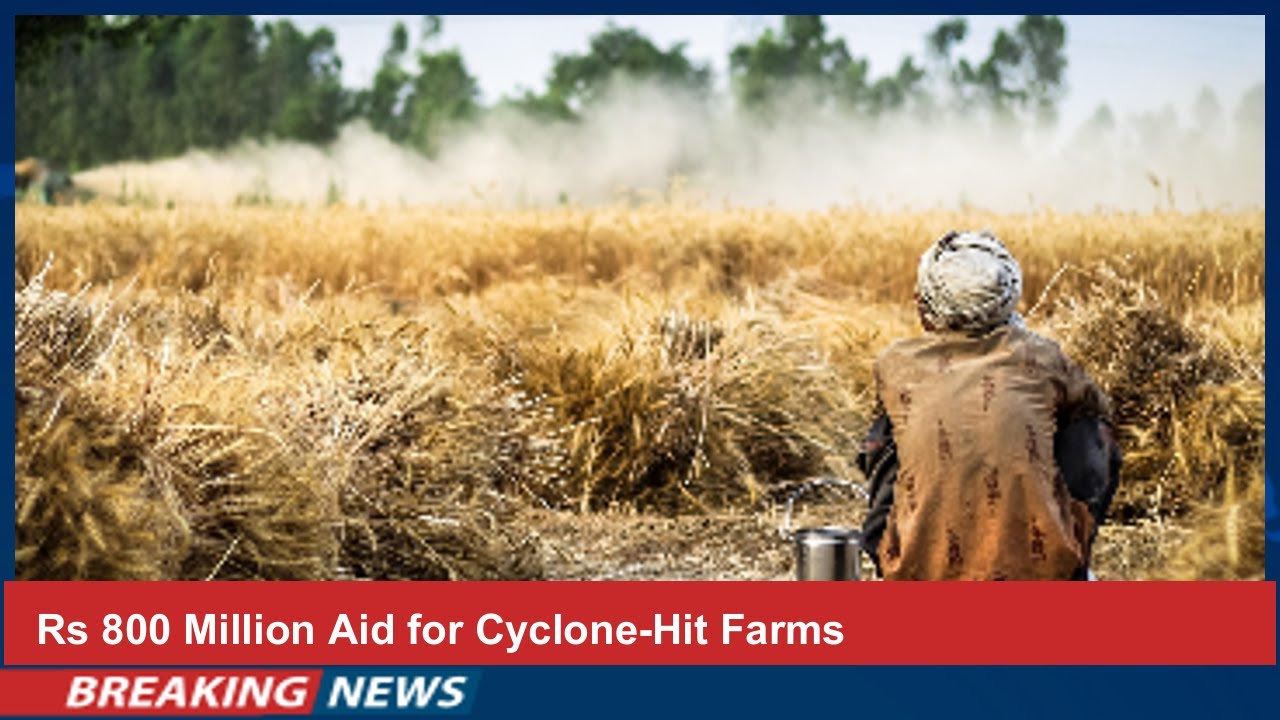 Rs 800 Million Aid for Cyclone-Hit Farms