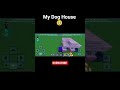 My Dog House 📈 🚀