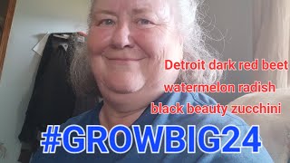 @GROWBIGTV  contest #GROWBIG24 100$ to the biggest grower.