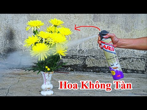 Video Bí Quyết Làm Cho Hoa Không Bao Giờ Tàn - Mẹo Làm Cho... - youtube