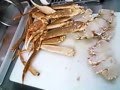 タイガの"お家でご飯"【ズワイカニの捌き方】