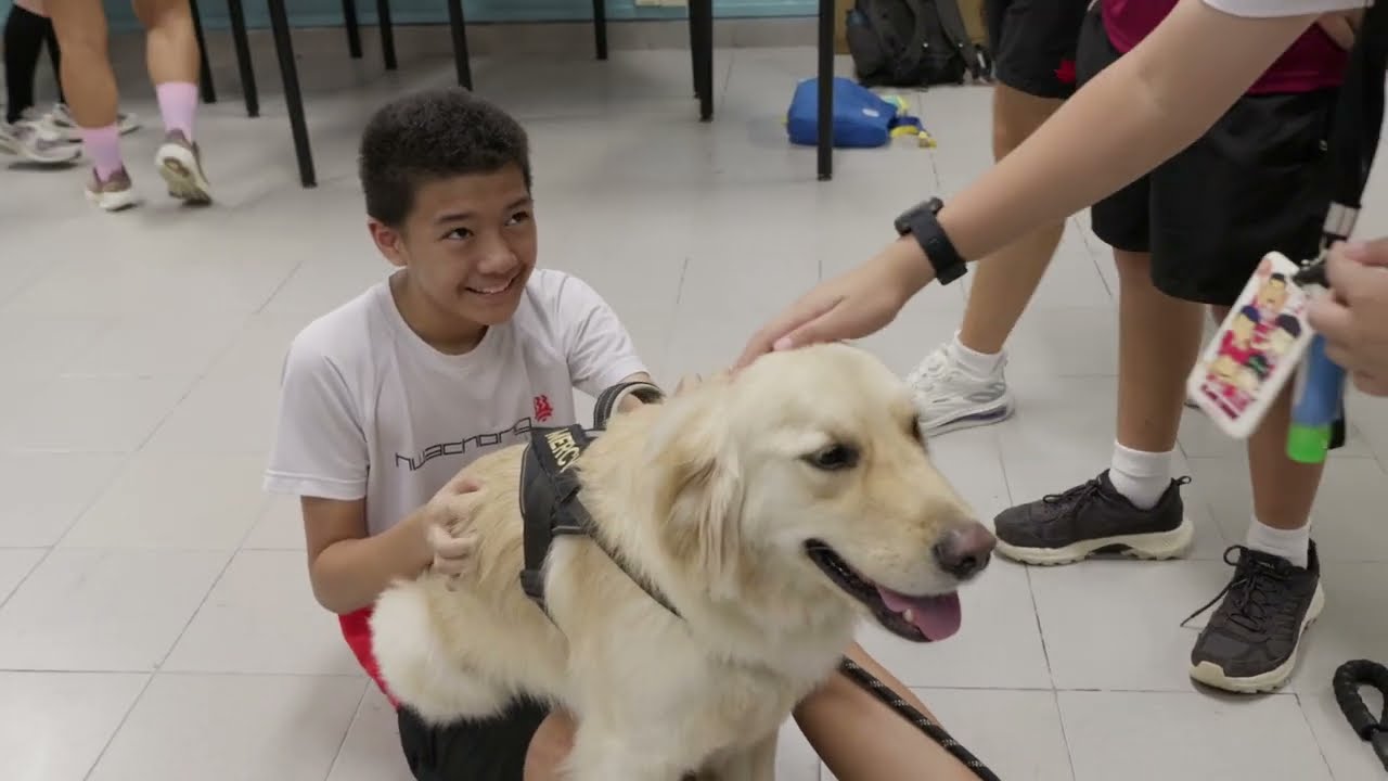 Проект HUG Pawsitive от Института Хва Чонг, Сингапур