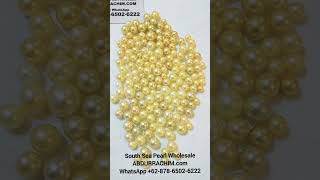 South Sea Pearl Wholesale 👉 WhatsApp +62 878 6502 6222 pearl farm 34