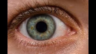 Lecture2.1 - Elements of visual perception