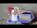 My Gun Reviews / A Piece Of The Puzzle