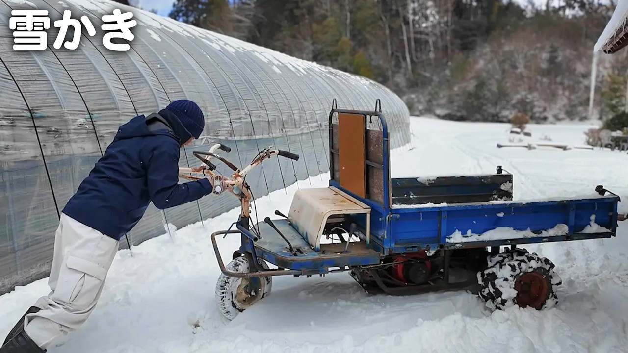大寒波到来！夫婦で力を合わせて雪かきしました❄️