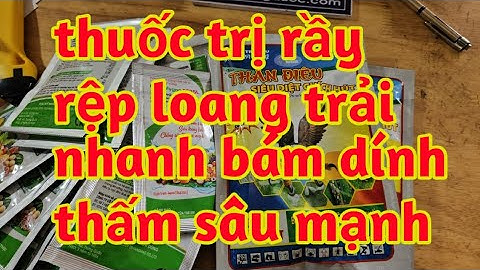 thuốc đặc trị rầy rệp sáp bọ trĩ bọ nhảy loang trải nhanh bám dính lưu dẫn thấm sâu 023 199