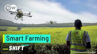 Smart Farming: Tech for sustainable food