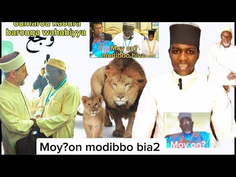 Moy On Modibbo Biya Ousmanou