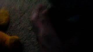 Behavior Day Plex Gets 0 Expelled Grounded