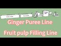 turmeric puree ginger puree line Fruit pulping filling line fruit pulper
