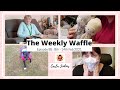 THE WEEKLY WAFFLE EP 85 - Walked dogs, sewed stuff...