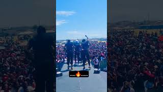 Menzi Black Mapatile Performance 