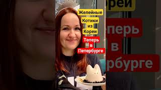 Знаменитые желейные котики из Кореи теперь и в Петербурге. Подробное видео с обзором кафе на канале.