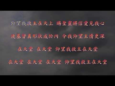 TJC讚美詩 134：仰望救主