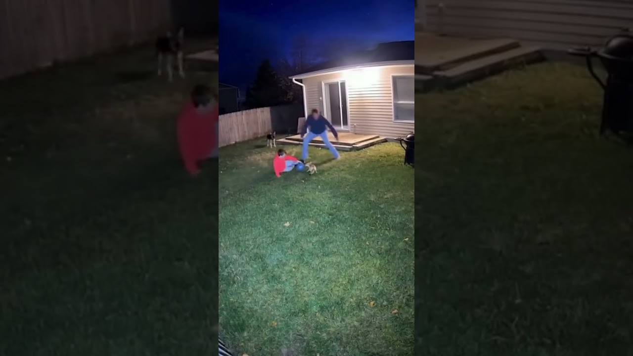 CCTV Footage: Father Grabs Baseball Bat to Save Child From Fennec Fox Attack at Night