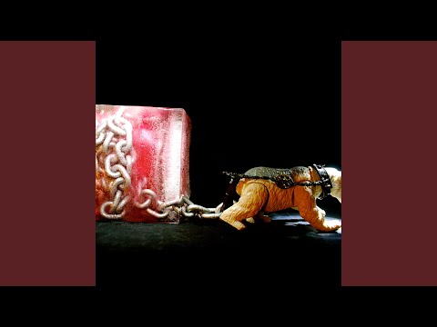 Deki Alem - Stray Dog