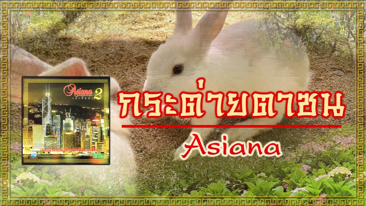 กระต่ายตาซน - Asiana [ Official Audio ]