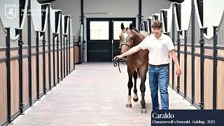 Caraldo