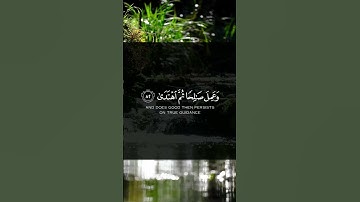 سورة طه بصوت ( ياسر الدوسري )   #yasseraldossary #quran #قرآن #اكسبلور