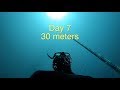 Freediving in Dahab - Day 7 (30 meters)