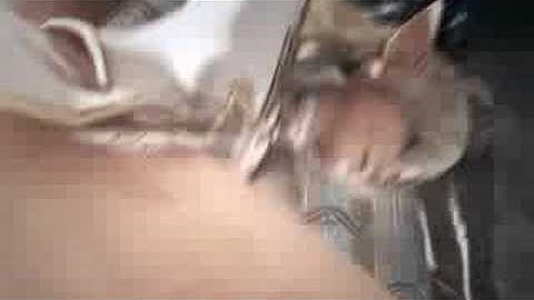 Lineage 2 Elf Battle