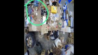 250916NE5MJYWX