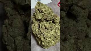 🚨 THCA Hemp Could Be Illegal Overnight | Legal Pounds Captured on Film