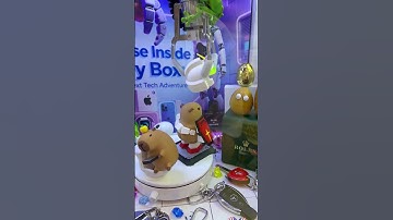 Challenge: Can I Grab the MYSTERY Prize in the Claw Machine? Day 8 #clawmachine #arcade
