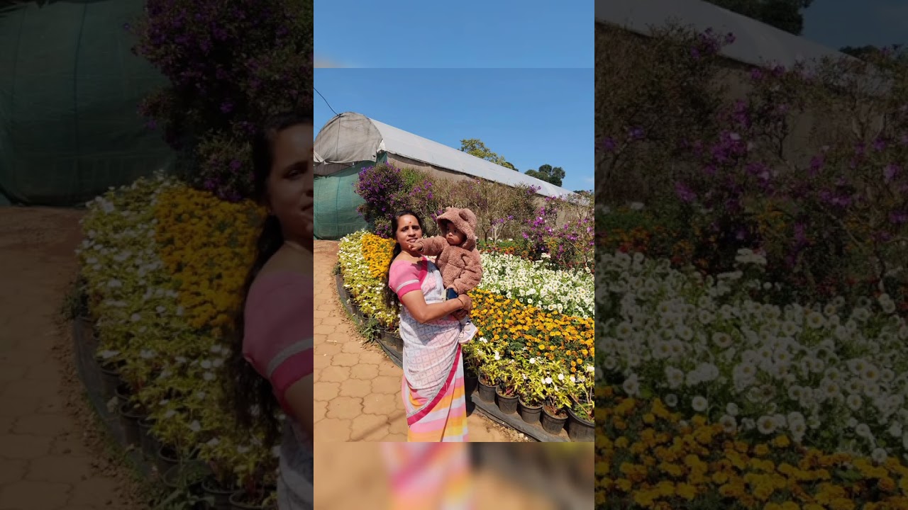 Wayanad Poopoli 2026 is Kerala's grand annual flower festival, happening mid-January # Ambalavayal🪷🪷