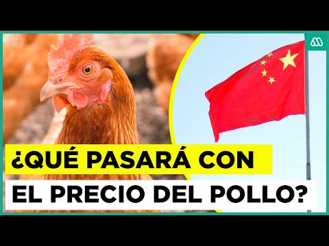 SAG aclara: fue Chile quien suspendió exportaciones avícolas, no veto de China por gripe aviar