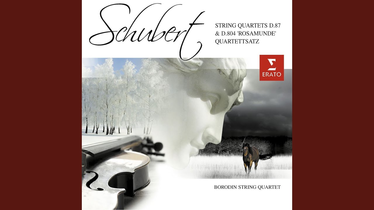 Ver String Quartet No. 13 in A Minor, Op. 29, D. 804 "Rosamunde": II. Andante en YouTube