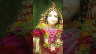 🌸✨Shri Radhe ✨💗 #radha3181 #krishna #radha #radheshyam #love #like #song #radhekrishna #shyam #likes