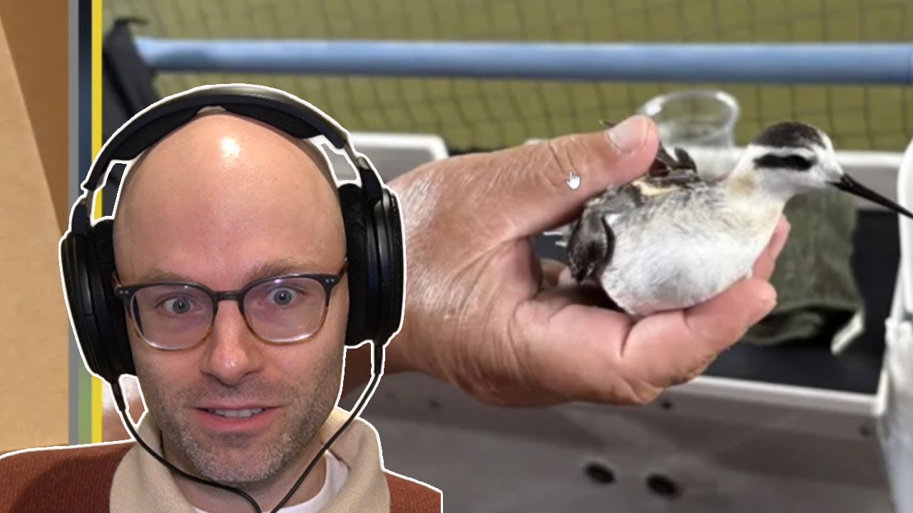 Bro's hand speed gotta be insane (Miscellaneous)