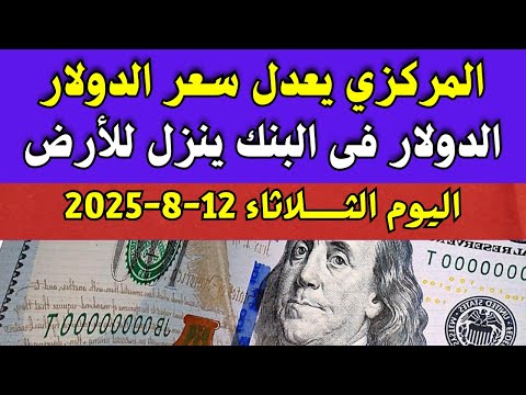 اسعار الدولار فى البنوك المصرية اسعار الدولار والعملات فى البنوك اليوم الثلاثاء 12 8 2025 في مصر