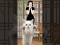 The cat stole my energy 😞 #remix #song #bollywood #voiceeffects #music