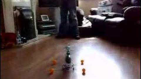 Align T-Rex 450SE small room hover indoors