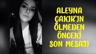 Aleyna Çakır Olayında Atlanılan Önemli Bir Detay