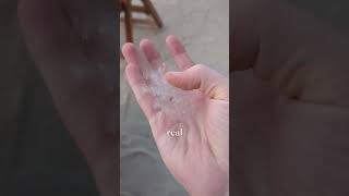 Cotton Trees In The Gambia And Casamance, Senegal