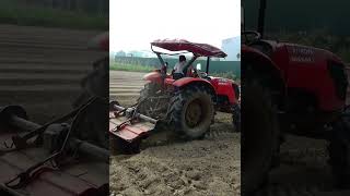 CẬN CẢNH Mãn Nhãn m6040 kubota #m6040su  #Shorts #kubota #tractor #maycay #fyp #farmer