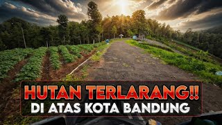 Perjalanan Menuju Hutan Babagongan Di Puncak Gunung Cimenyan