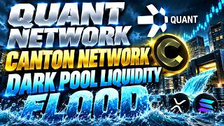 QUANT & CANTON NETWORK FINALLY BREAK OUT! WHAT COMES NEXT