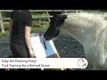 Toby the painting pony trick training for fun and enrichment with a retired horse