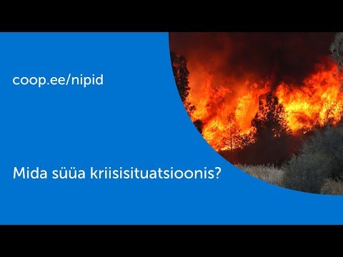 Video: Mida Süüa Tavalistest Porganditest