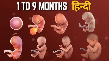 pregnancy 1 to 9 months video 3d animation