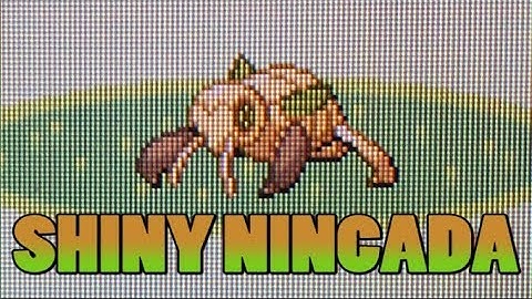 (WSHC#1) LiVE!! SHiNY NiNCADA AFTER 4386 RE